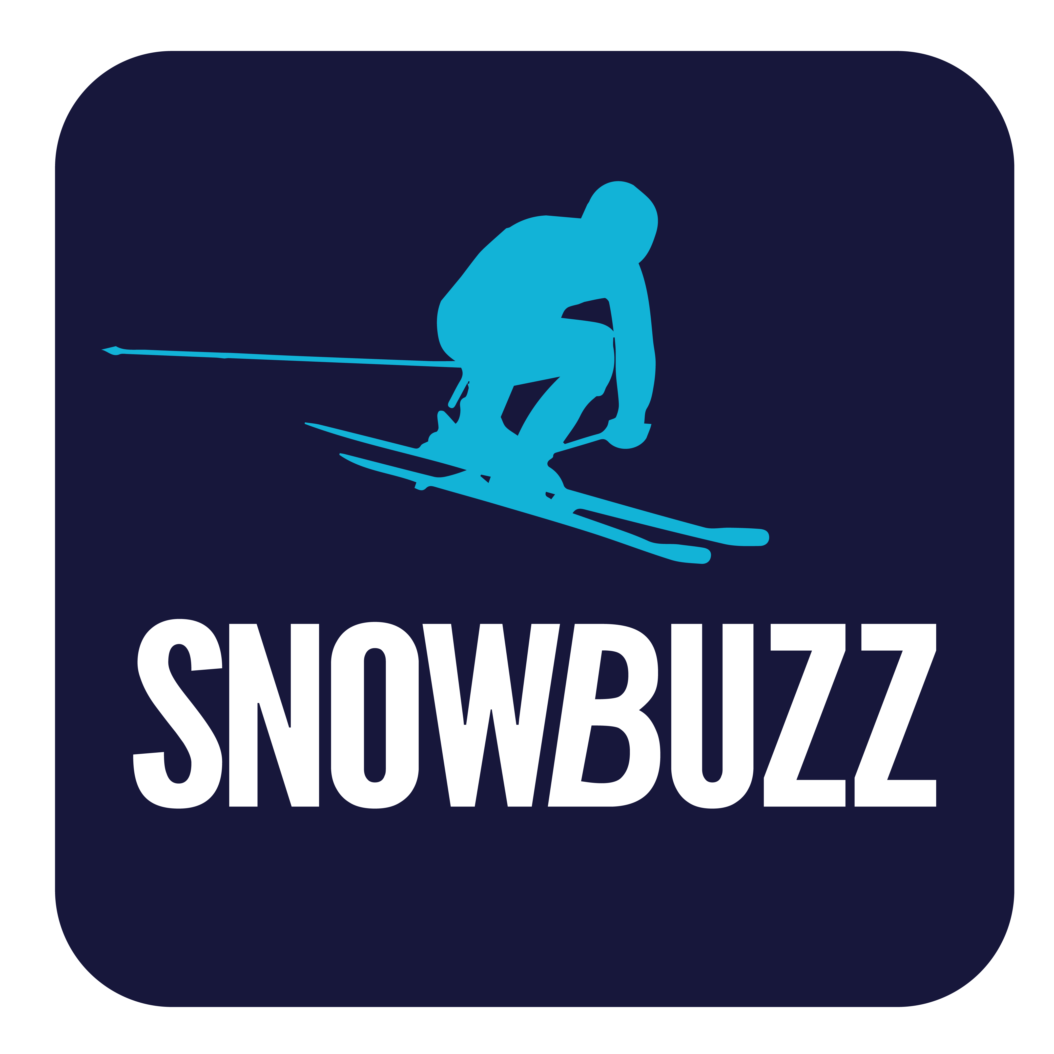 SnowBuzz
