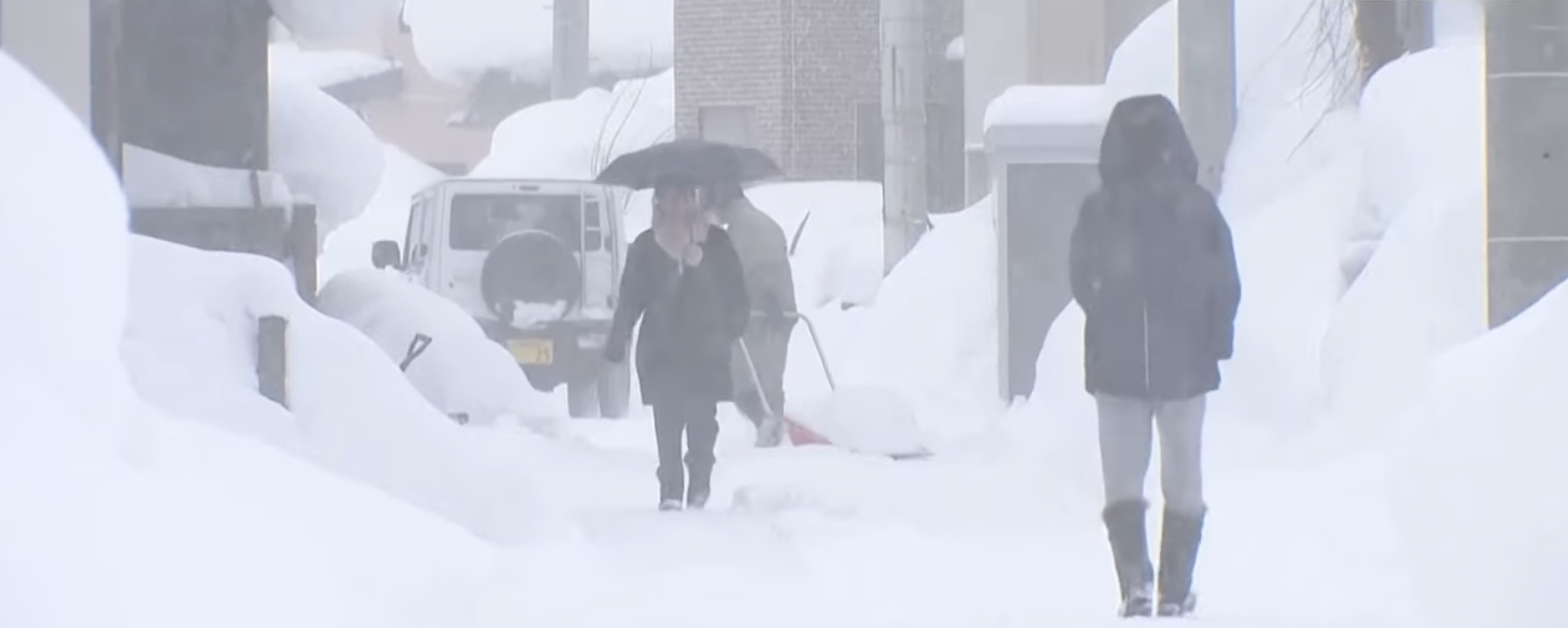 שלגים חריגים בצפון יפן: לפחות 35 הרוגים ומאות נפגעים, חשש גובר למפולות